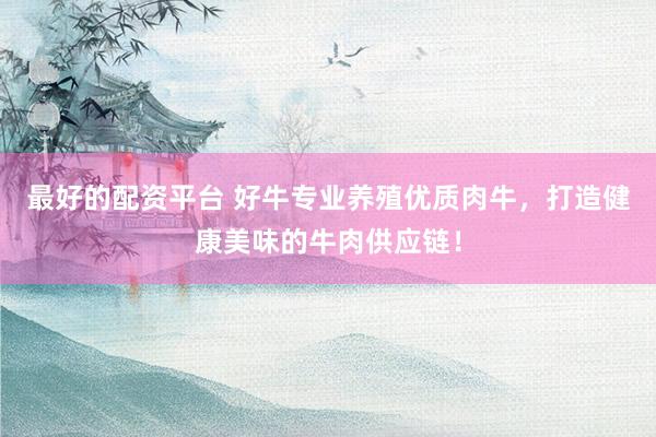 最好的配资平台 好牛专业养殖优质肉牛，打造健康美味的牛肉供应链！