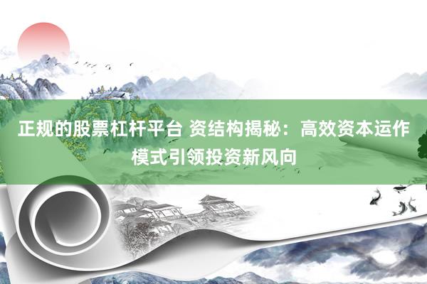 正规的股票杠杆平台 资结构揭秘：高效资本运作模式引领投资新风向