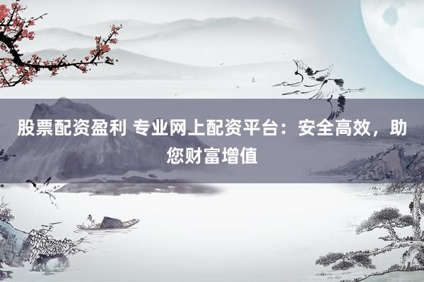 股票配资盈利 专业网上配资平台：安全高效，助您财富增值