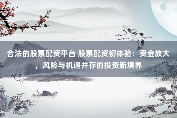 合法的股票配资平台 股票配资初体验：资金放大，风险与机遇并存的投资新境界