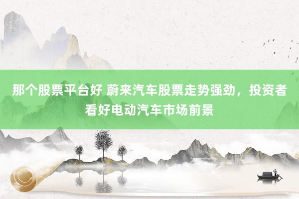 那个股票平台好 蔚来汽车股票走势强劲，投资者看好电动汽车市场前景