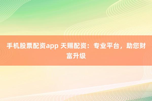 手机股票配资app 天赐配资：专业平台，助您财富升级