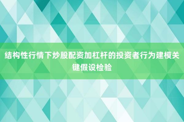 结构性行情下炒股配资加杠杆的投资者行为建模关键假设检验
